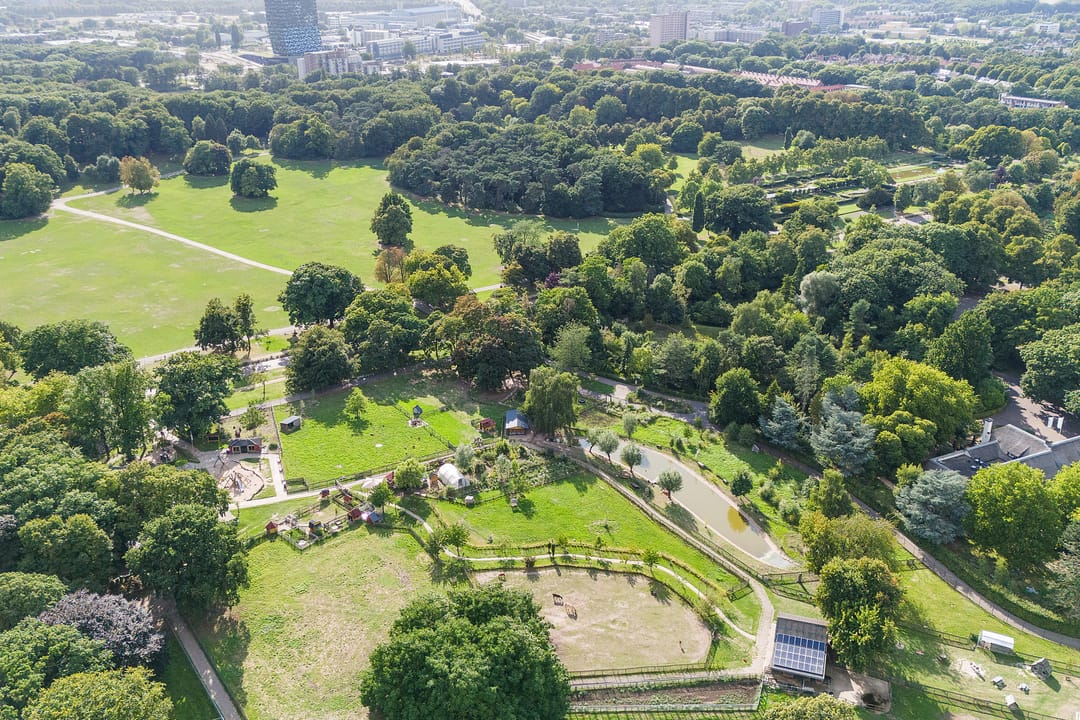 Foto 77 van Wezenlaan 119