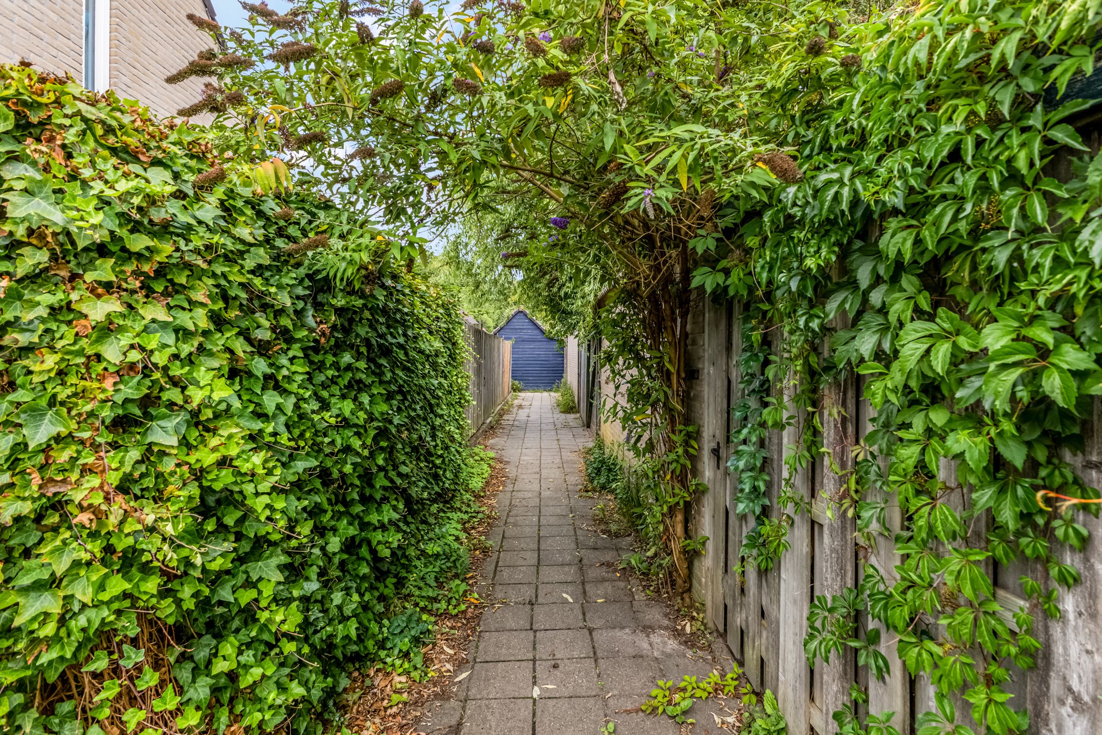 Foto 30 van Bauerstraat 21