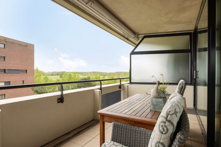 Foto 3 van Zandbloem 55