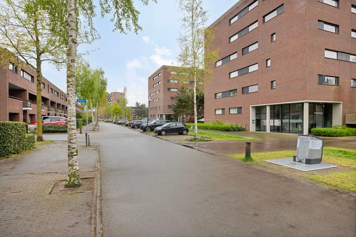 Foto 4 van Zandbloem 55