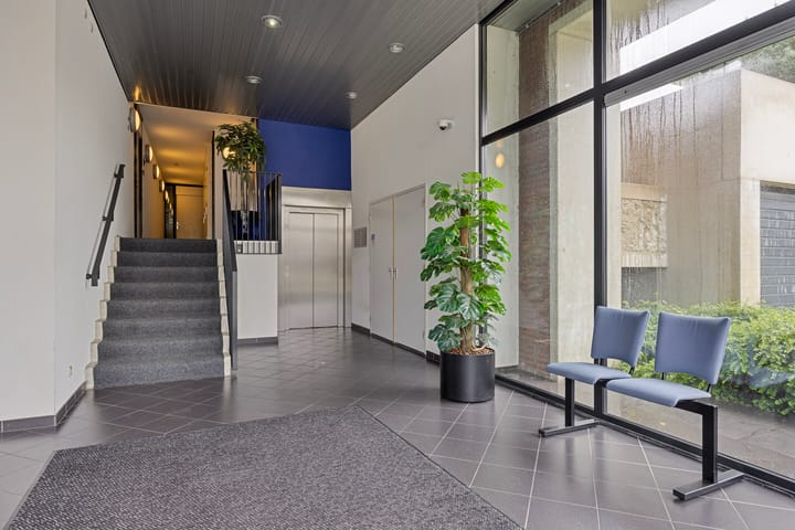 Foto 5 van Zandbloem 55