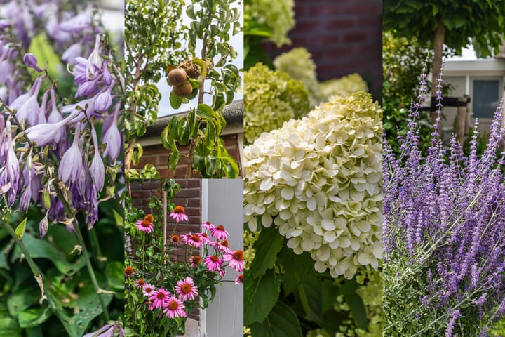 Foto 25 van Wassenaarstraat 12