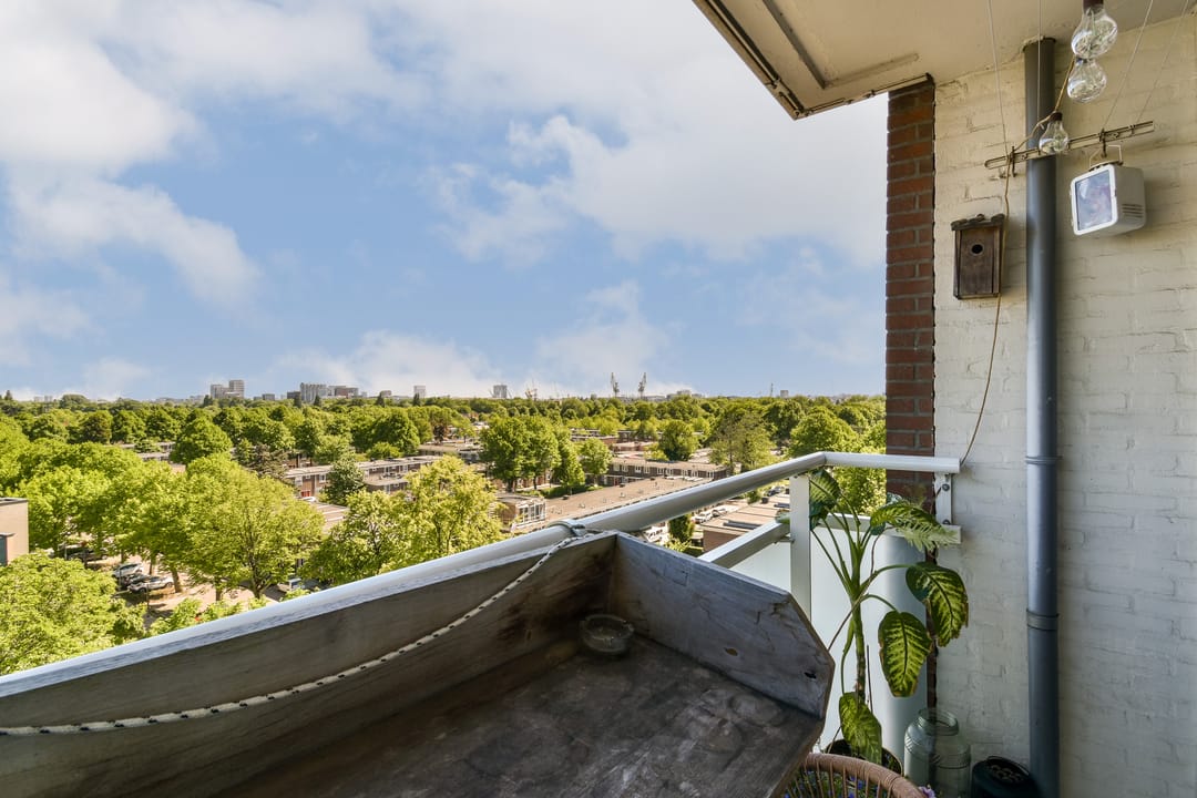 Foto 11 van Dierenriem 114