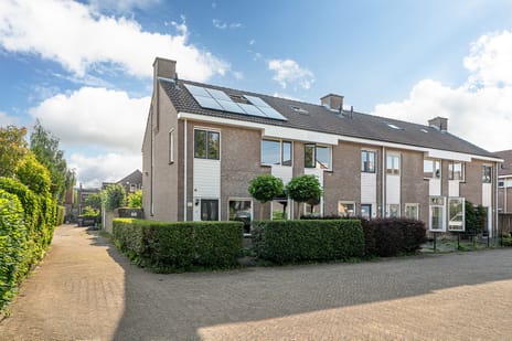 undefined main image