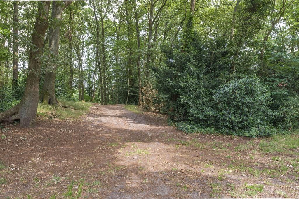 Foto 35 van Hindelaan 18