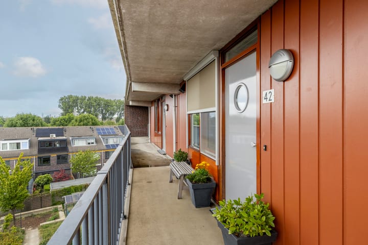 Foto 3 van Iepenwede 42