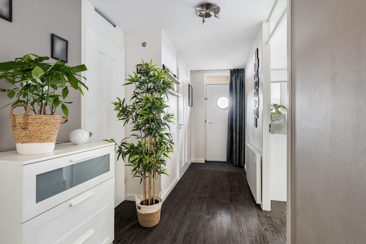 Foto 4 van Iepenwede 42