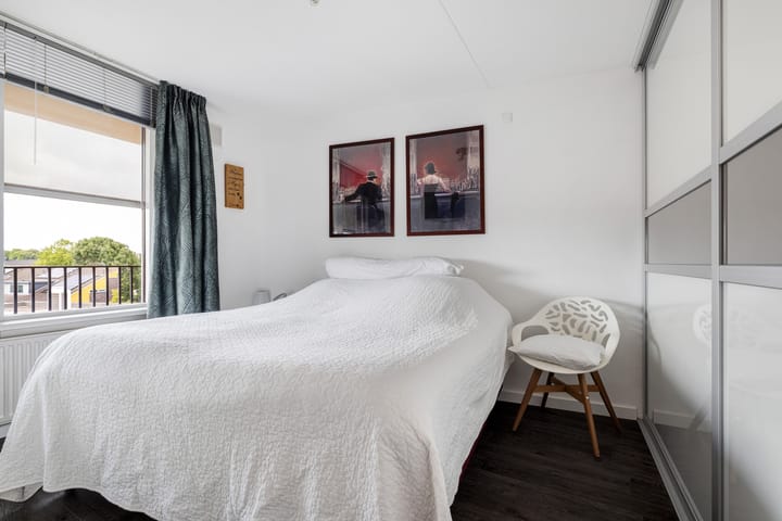 Photo 9 of Iepenwede 42