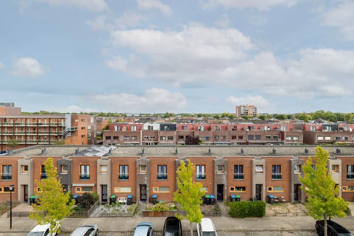 Photo 17 of Iepenwede 42