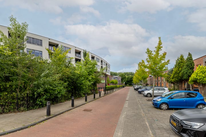 Photo 18 of Iepenwede 42