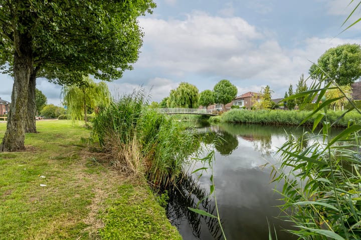 Photo 20 of Iepenwede 42