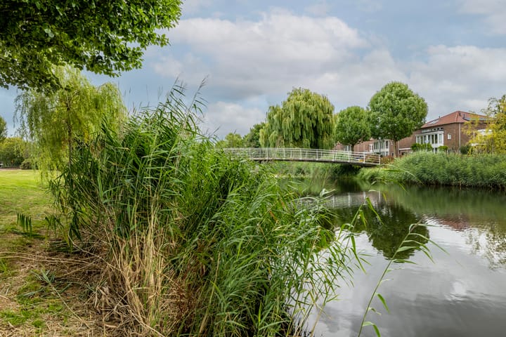 Photo 21 of Iepenwede 42