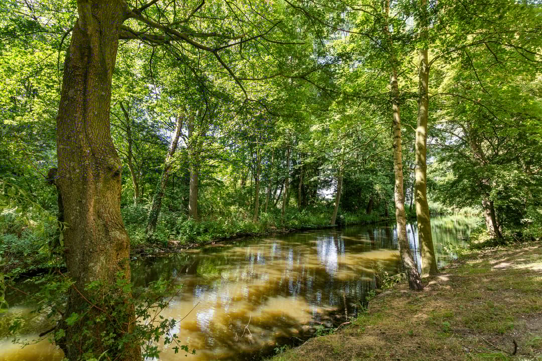 Foto 37 van Oostervenne 301