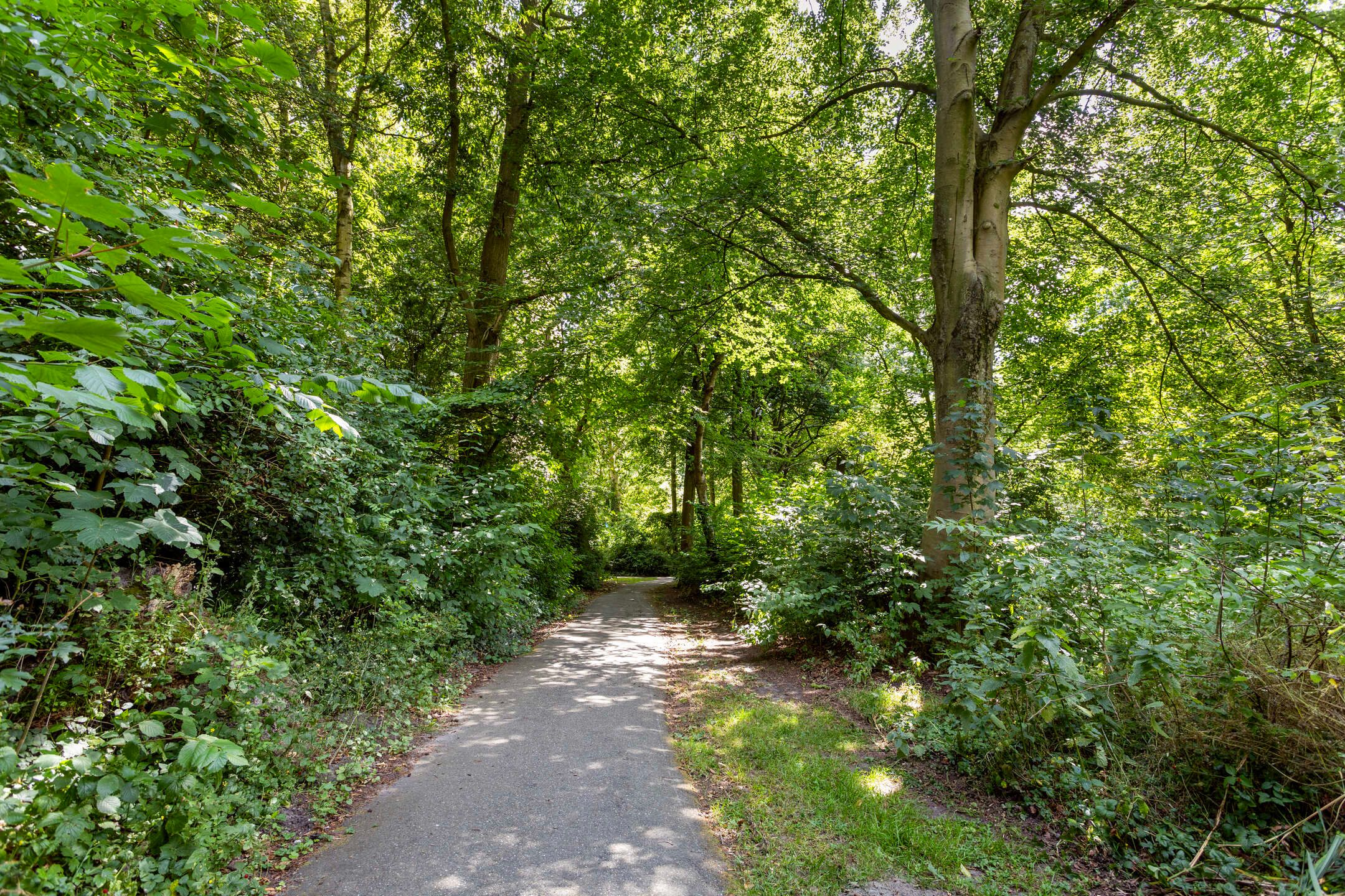 Foto 39 van Oostervenne 301