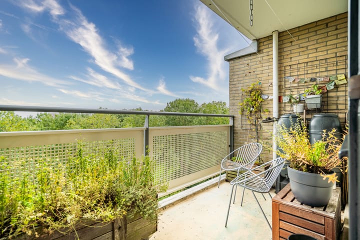 Foto 21 van Jan Luykenlaan 321