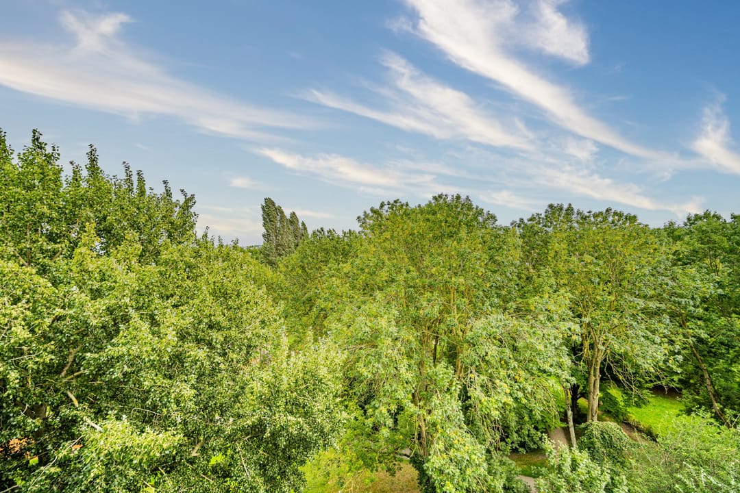 Foto 23 van Jan Luykenlaan 321