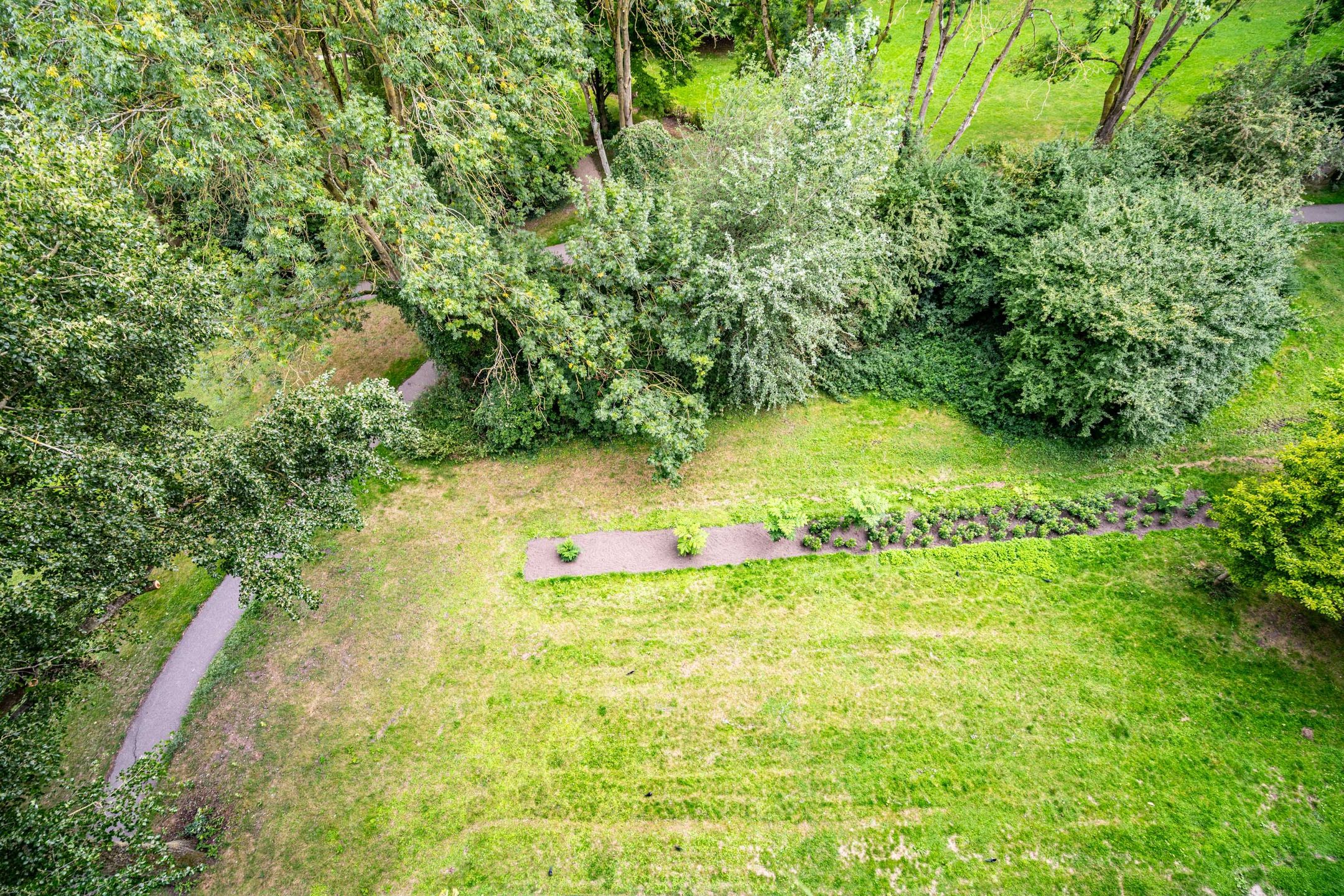 Foto 24 van Jan Luykenlaan 321