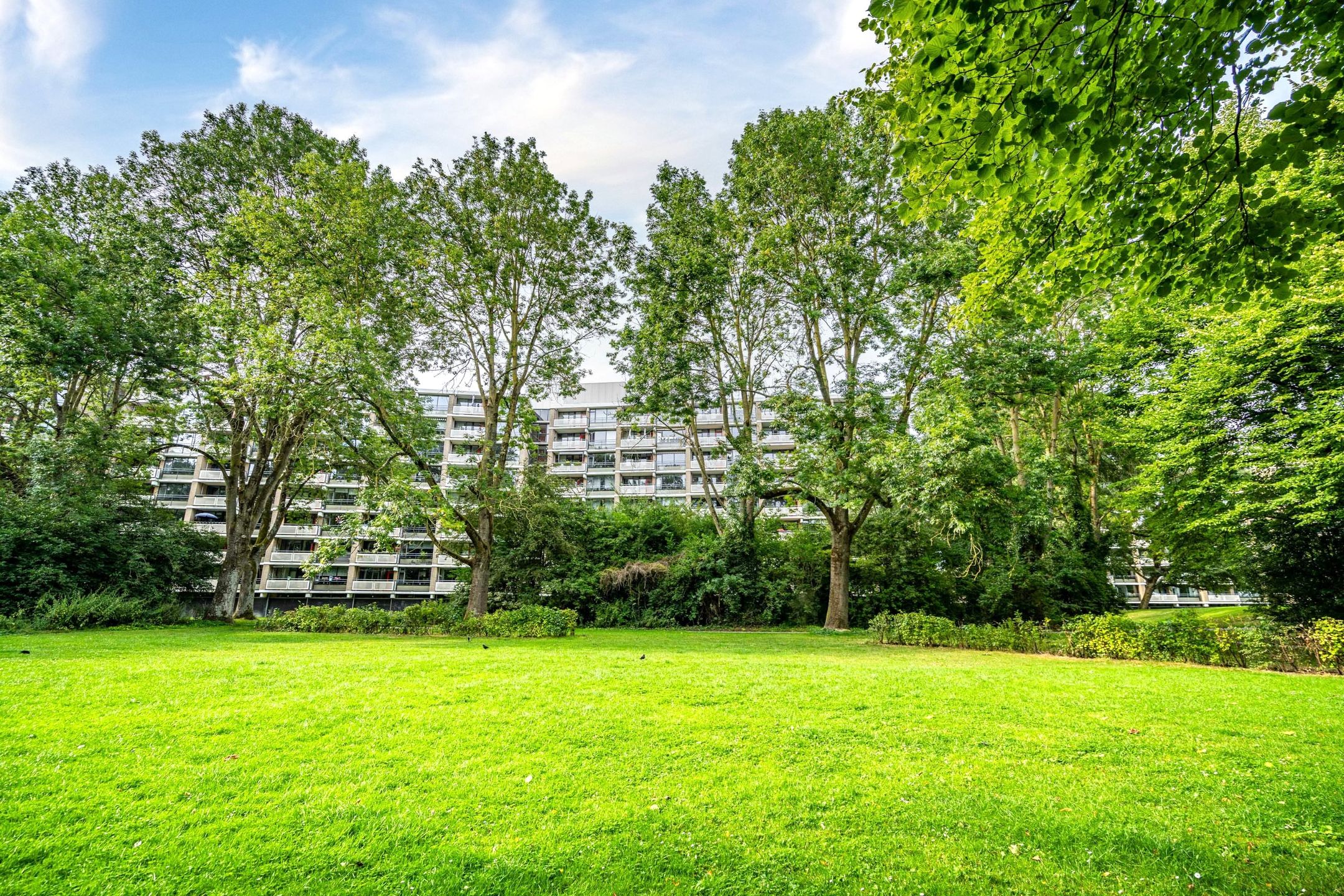 Foto 45 van Jan Luykenlaan 321