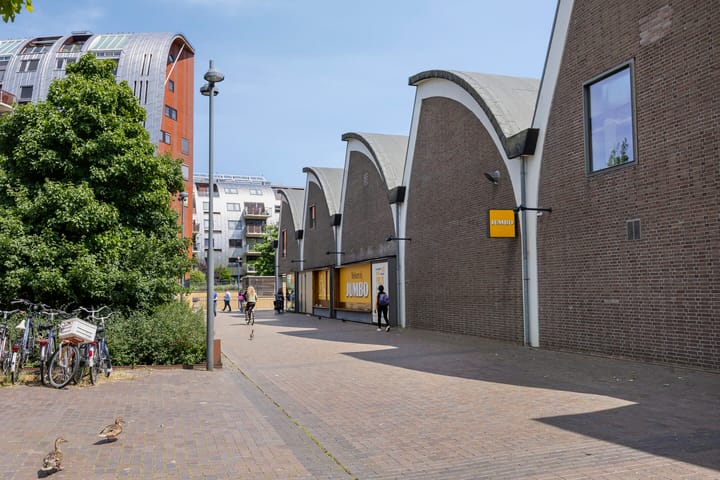 Foto 36 van Hoflaan 229