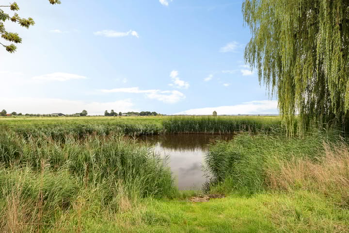 Foto 26 van Korenbloemstraat 23