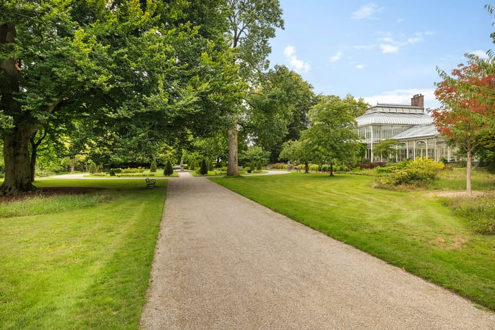 Foto 27 van Korenbloemstraat 23