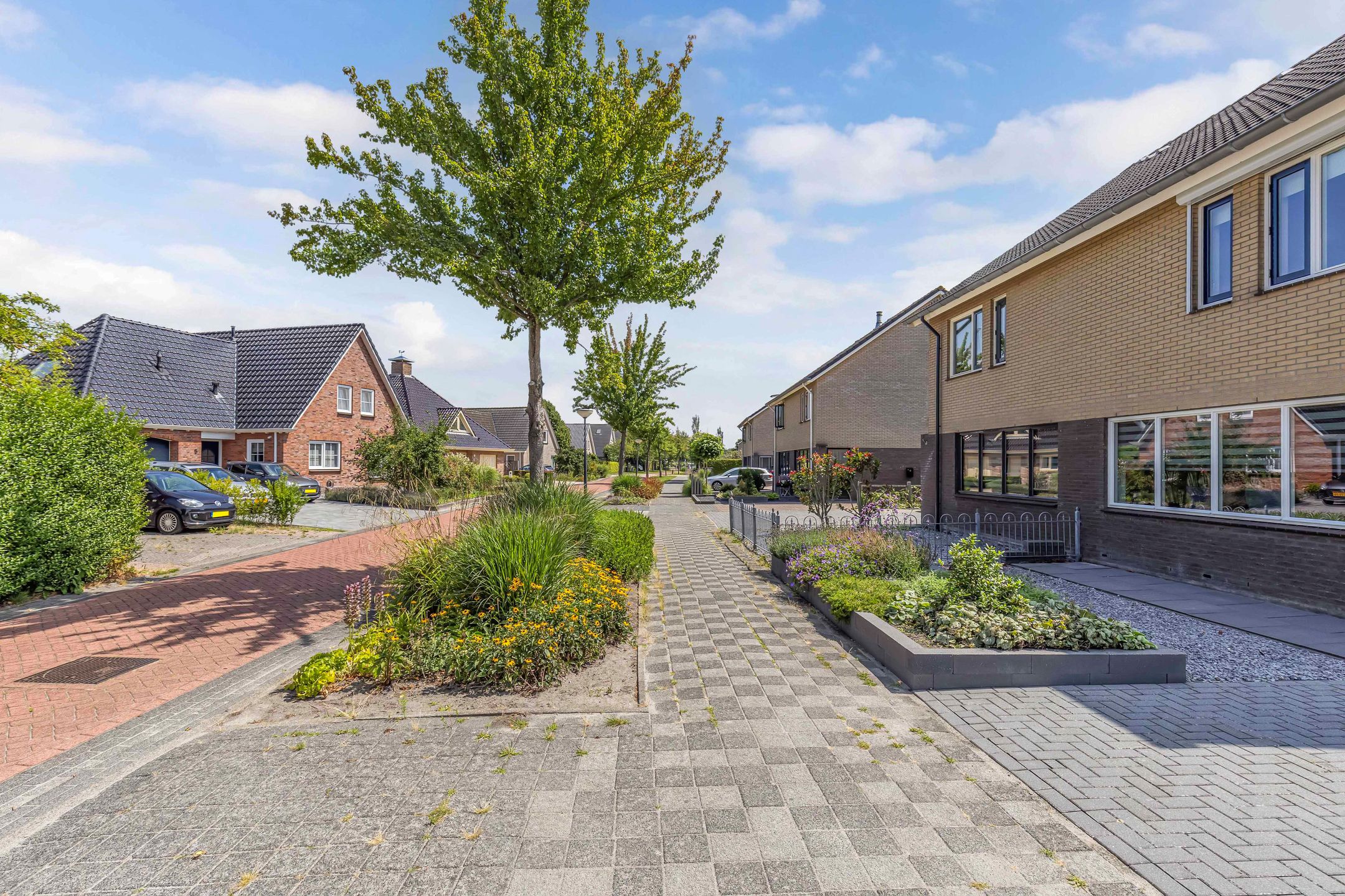 Foto 42 van Intang 12