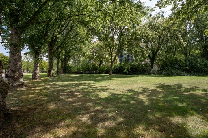 Foto 31 van Consciencelaan 18