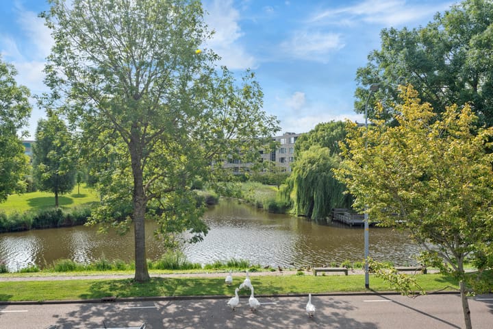 Foto 22 van Haya van Somerensingel 57