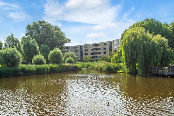 Foto 36 van Haya van Somerensingel 57