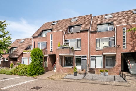 undefined main image