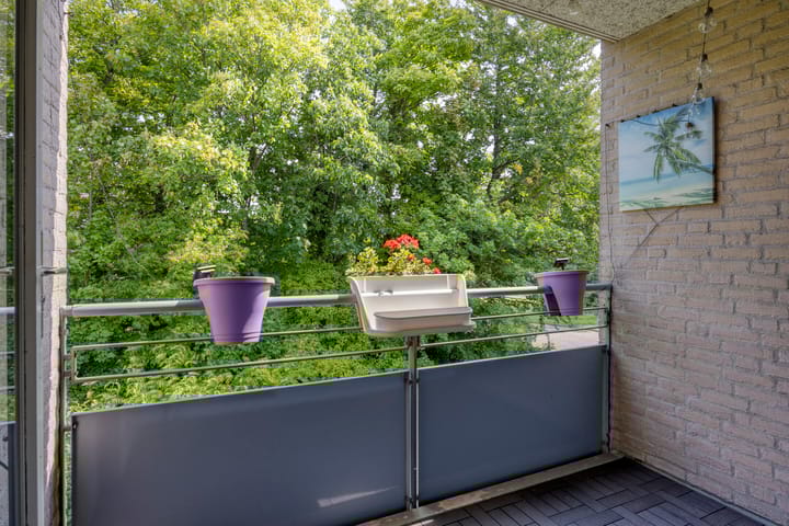 Photo 16 of Burgemeester Hendrixstraat 103