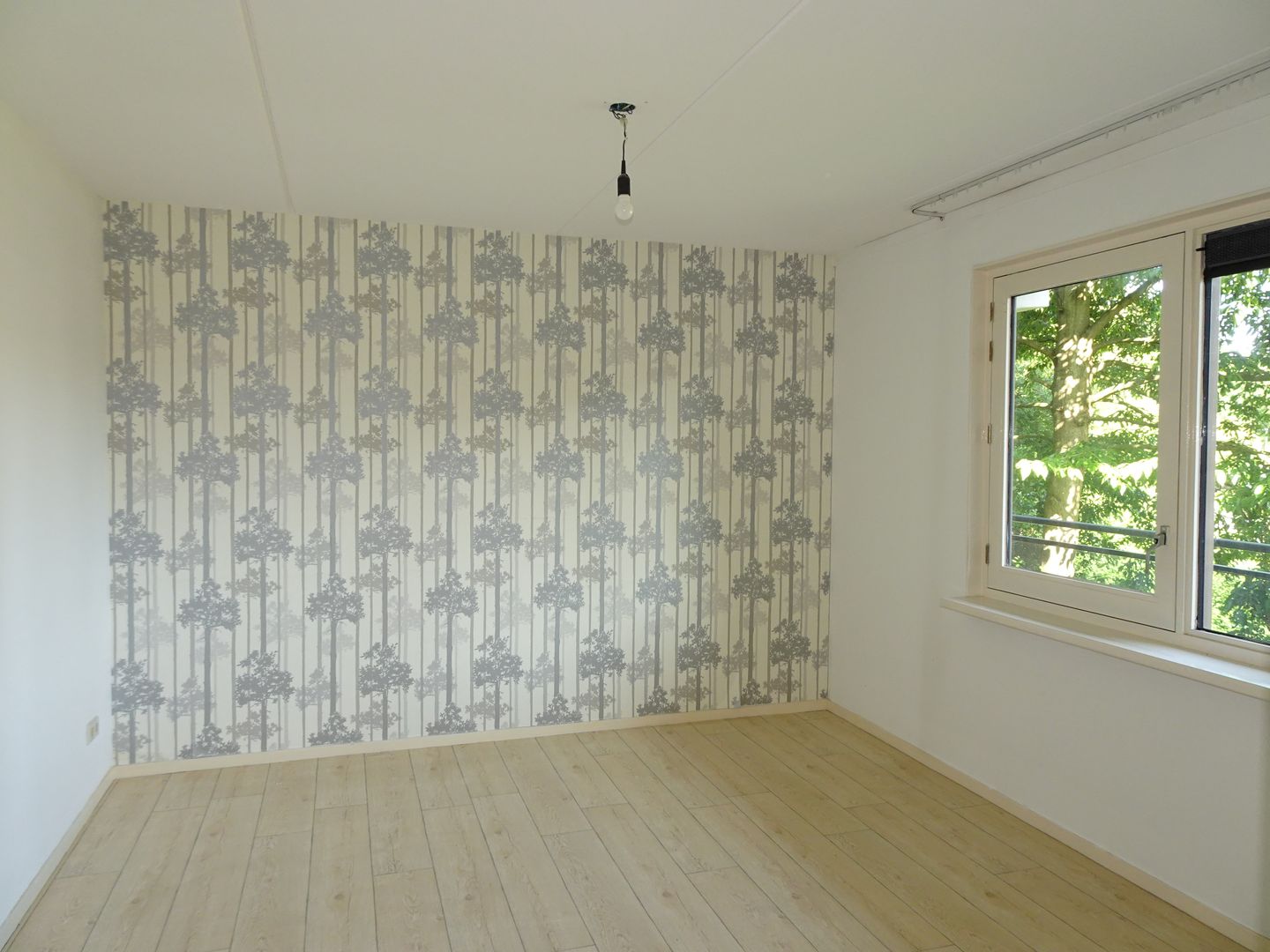 Photo 5 of Westerpark 101