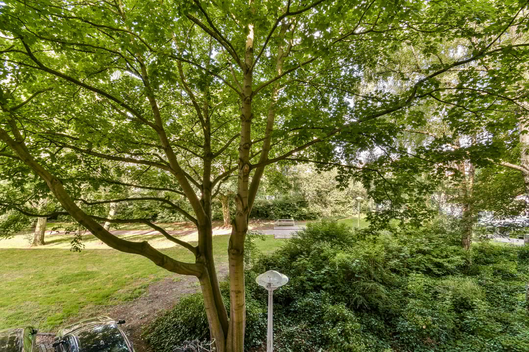 Foto 8 van Theophilusstraat 13-1