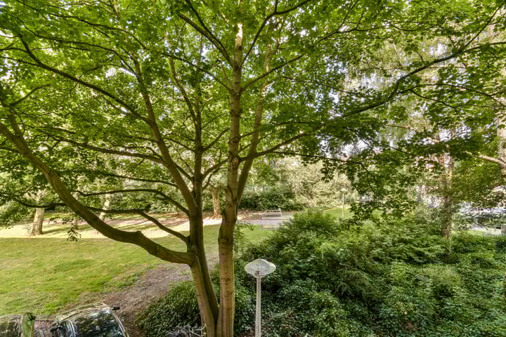 Foto 8 van Theophilusstraat 13-1