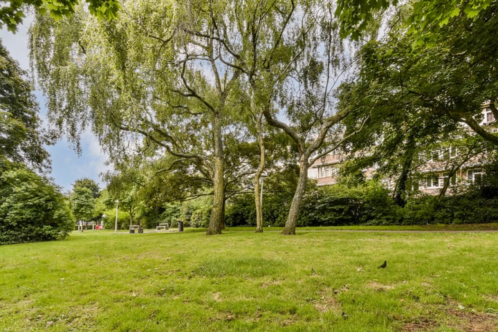 Foto 21 van Theophilusstraat 13-1