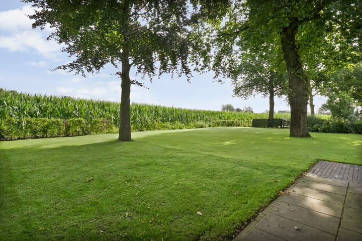 Foto 64 van Korhoen 33