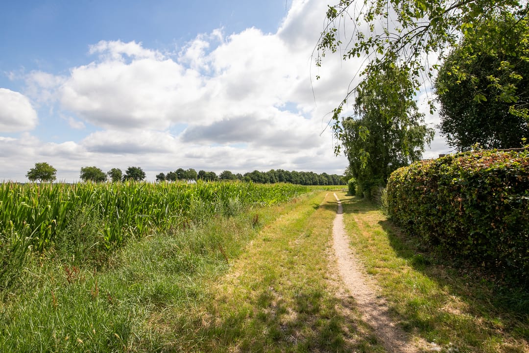 Foto 38 van Brouwersstraat 4