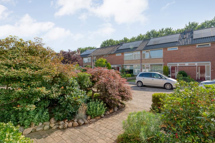 Foto 10 van Wulpstraat 6