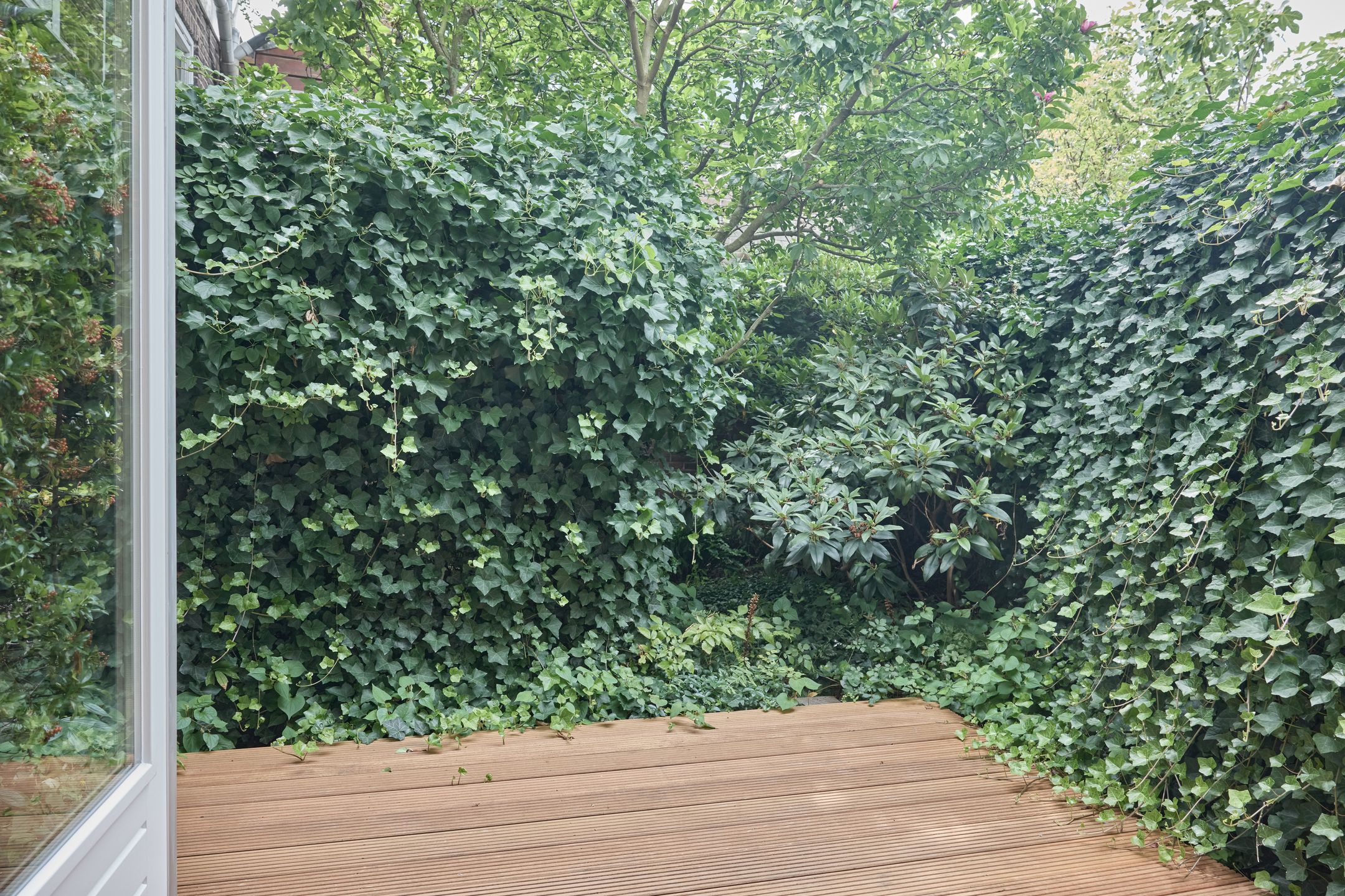 Foto 21 van Meeuwenlaan 106-C