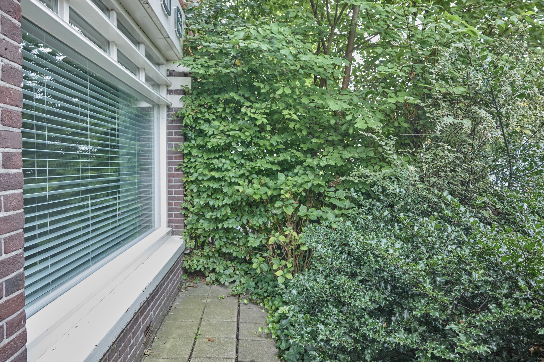 Foto 27 van Meeuwenlaan 106-C