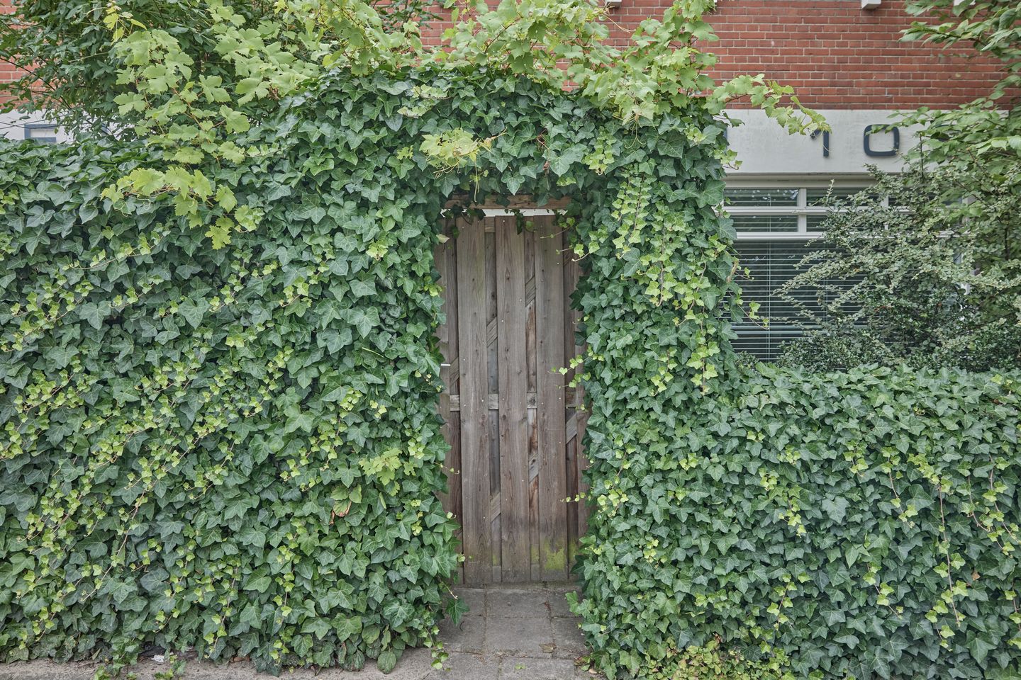 Foto 29 van Meeuwenlaan 106-C