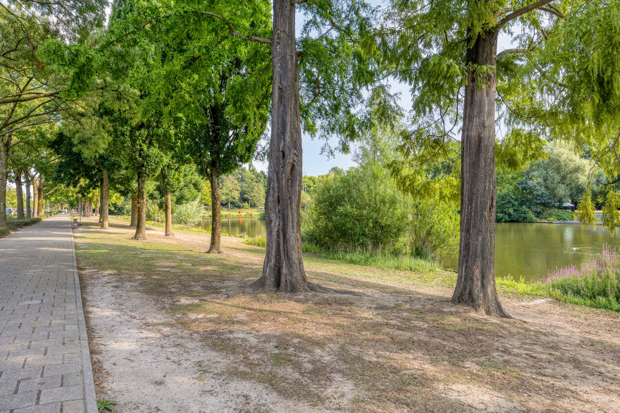 Foto 27 van Lauwerszeeweg 19