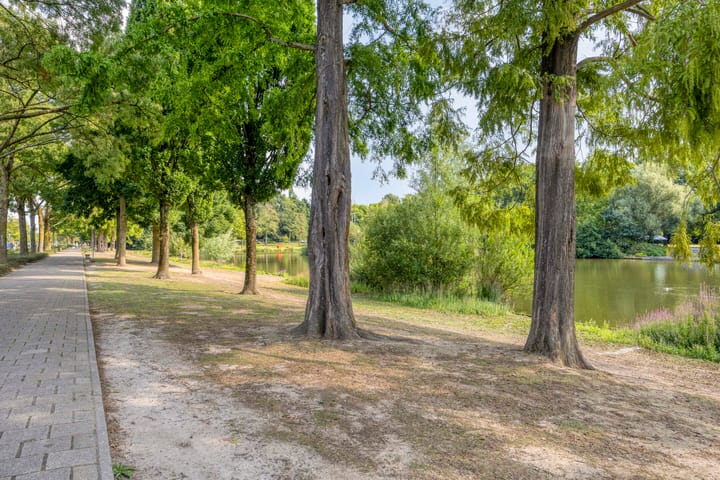 Photo 27 of Lauwerszeeweg 19