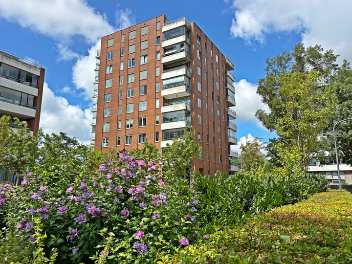 Foto 5 van Gerard Revestraat 43