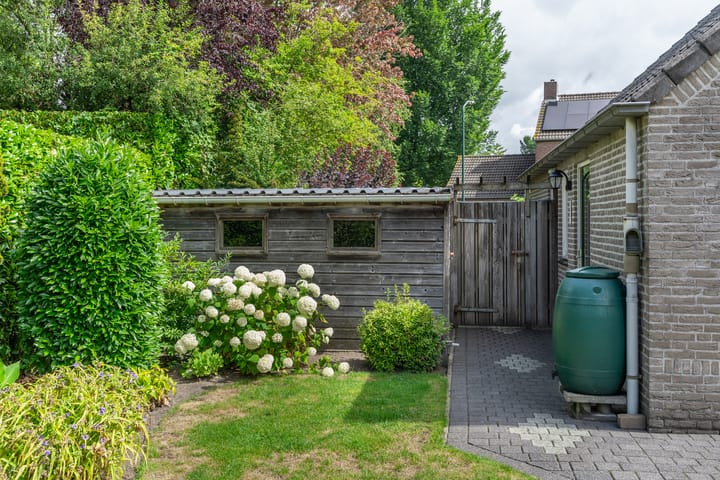 Foto 20 van Bramenbos 4