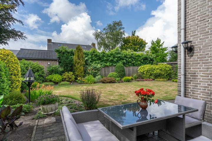 Foto 24 van Bramenbos 4