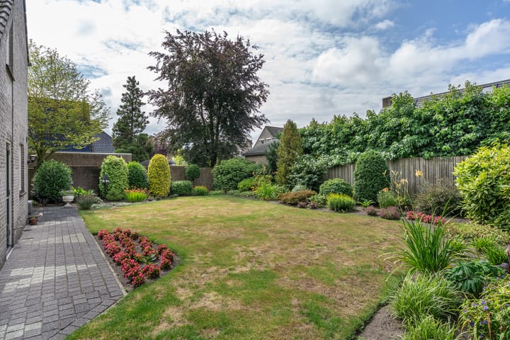 Foto 25 van Bramenbos 4