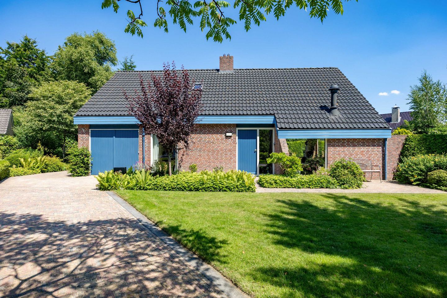 Foto 5 van Rietschans 3