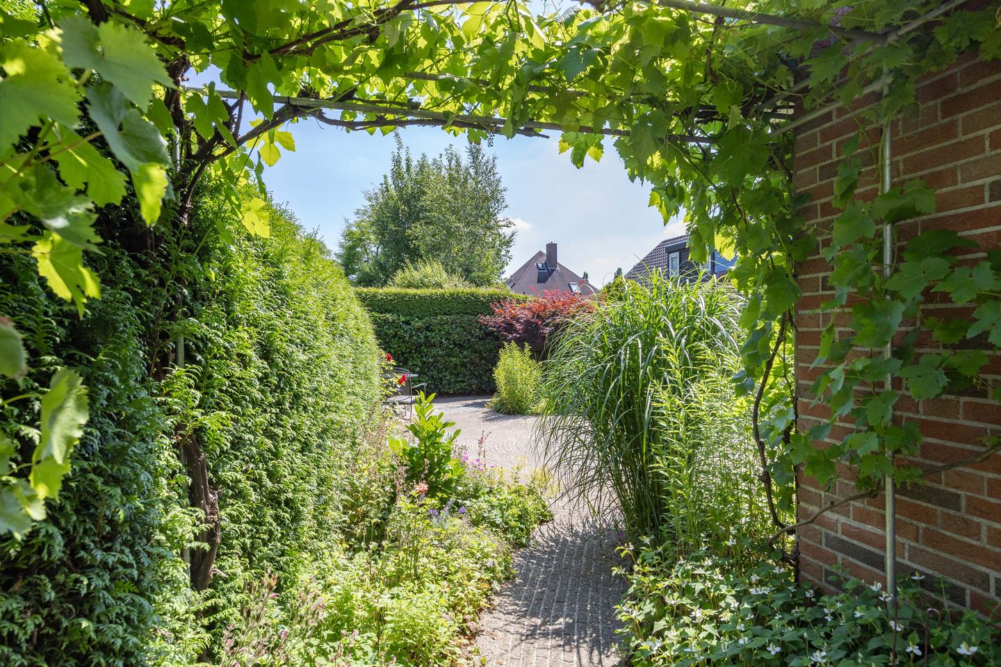 Foto 34 van Rietschans 3