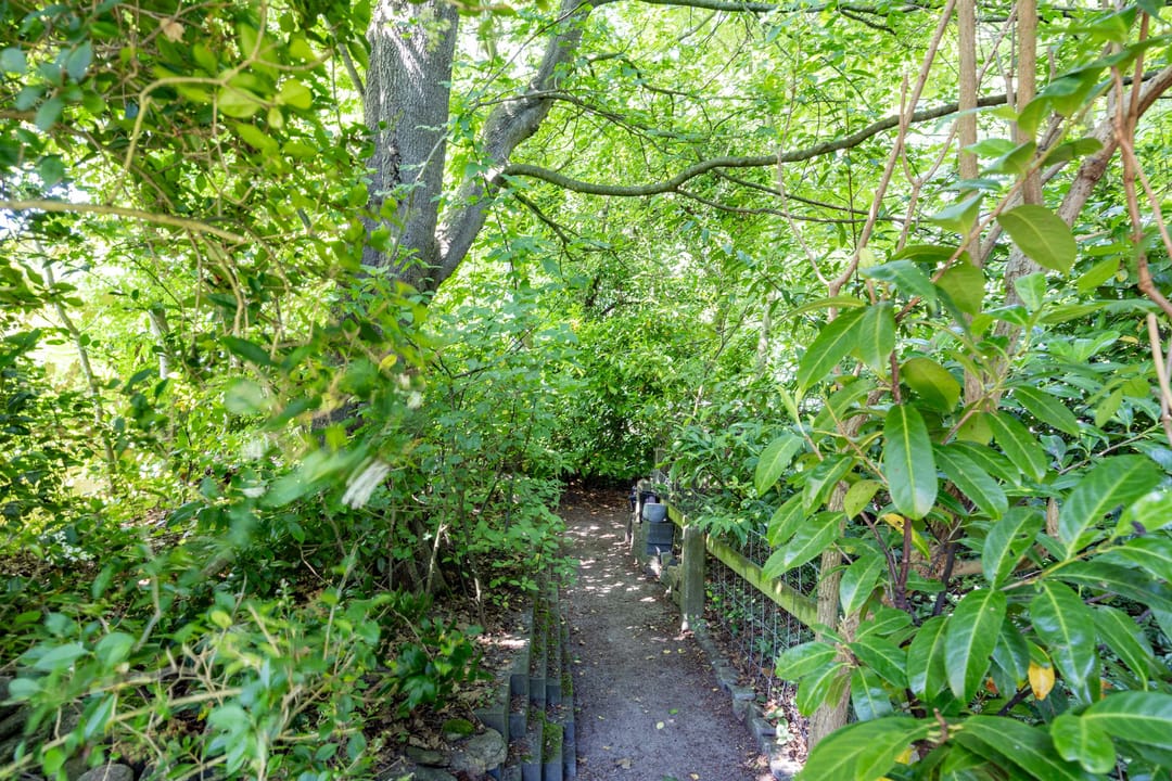 Foto 37 van Rietschans 3